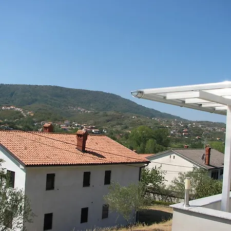 Bonini (adults Only) Koper
