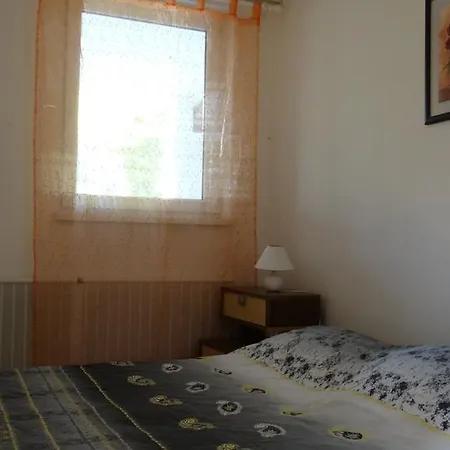Bonini (adults Only) Koper